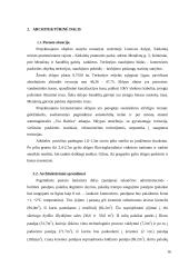 Krematoriumo, pastatyto Kėdainiuose, skirtingi statybos darbų organizavimo metodai 10 puslapis