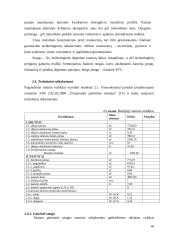 Krematoriumo, pastatyto Kėdainiuose, skirtingi statybos darbų organizavimo metodai 12 puslapis