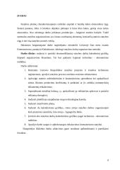 Krematoriumo, pastatyto Kėdainiuose, skirtingi statybos darbų organizavimo metodai 3 puslapis