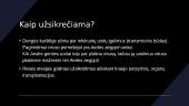 Dengės karštligė 3 puslapis