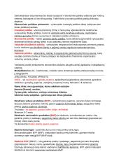 Makroekonomikos egzamino konspektas su formulėmis 2 puslapis