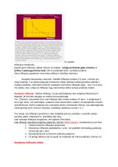 Makroekonomikos egzamino konspektas su formulėmis 17 puslapis