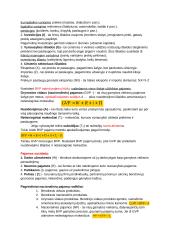 Makroekonomikos egzamino konspektas su formulėmis 4 puslapis