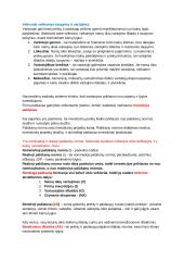 Makroekonomikos egzamino konspektas su formulėmis 6 puslapis