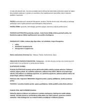 Mikroekonomikos teorija su formulėmis 2 puslapis