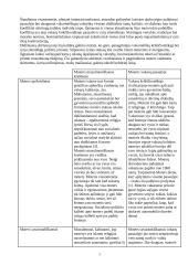 Moters vaidmuo rytų islamiškoje ir vakarų krikščioniškoje kultūrose 2 puslapis