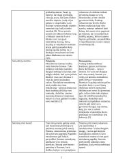 Moters vaidmuo rytų islamiškoje ir vakarų krikščioniškoje kultūrose 3 puslapis