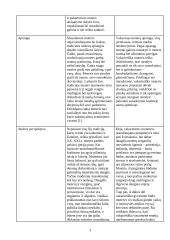 Moters vaidmuo rytų islamiškoje ir vakarų krikščioniškoje kultūrose 4 puslapis