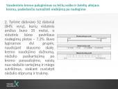 Lūpų balzamų analizė 13 puslapis