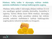 Lūpų balzamų analizė 15 puslapis