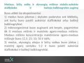 Lūpų balzamų analizė 16 puslapis