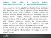 Lūpų balzamų analizė 17 puslapis