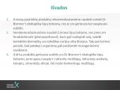 Lūpų balzamų analizė 18 puslapis