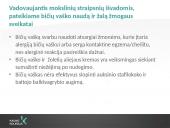 Lūpų balzamų analizė 19 puslapis