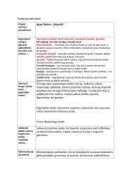 Knygos ,,Kuprelis'' analizė