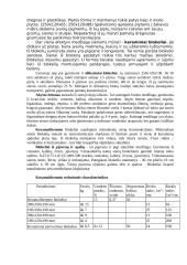 Mūro darbų mokomosios praktikos ataskaita 2 puslapis