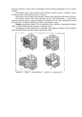 Mūro darbų mokomosios praktikos ataskaita 11 puslapis
