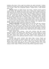 Mūro darbų mokomosios praktikos ataskaita 14 puslapis