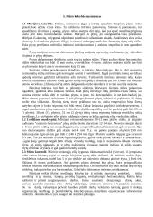 Mūro darbų mokomosios praktikos ataskaita 15 puslapis