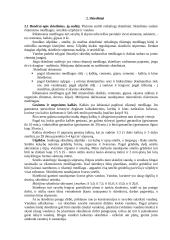 Mūro darbų mokomosios praktikos ataskaita 4 puslapis