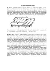 Mūro darbų mokomosios praktikos ataskaita 7 puslapis