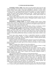 Mūro darbų mokomosios praktikos ataskaita 10 puslapis