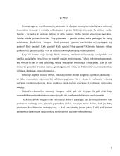 Verslo planas: drabužių siuvimas UAB "Apranga"	 3 puslapis