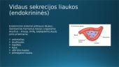 Hormonai ir homeostazė 4 puslapis