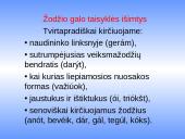 Žodžio galo taisyklė 3 puslapis