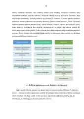 UAB „Baltic Ground Services“ paslaugų kokybės tobulinimas 18 puslapis