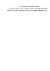 UAB „Baltic Ground Services“ paslaugų kokybės tobulinimas 19 puslapis