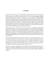 Naudotojo patirtis vaikščiojimo ir vairavimo simuliavime virtualioje realybėje 3 puslapis