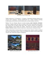 Naudotojo patirtis vaikščiojimo ir vairavimo simuliavime virtualioje realybėje 5 puslapis