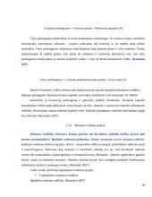 UAB „Rimi Lietuva" finansinės ir ūkinės veiklos analizė bei pelno didinimas   17 puslapis