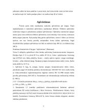 Darbo vietų išplanavimas ir apšvietimo sistemos parinkimas ofise 5 puslapis