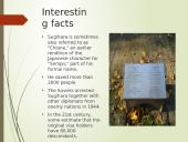 Chiune Sugihara today 8 puslapis