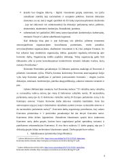 Europos Sąjungos (ES) konventas ir diskusija dėl ES ateities 9 puslapis