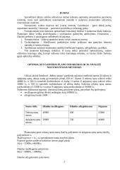 Optimalaus gamybos plano sudarymas ir jo grafikas 2 puslapis