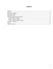 Organizacijos hierarchijos analizė: baldų ir lengvosios pramonės gamyba AB "SBA" 2 puslapis