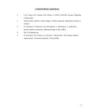 Organizacijos hierarchijos analizė: baldų ir lengvosios pramonės gamyba AB "SBA" 11 puslapis