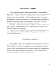 Organizacijos hierarchijos analizė: baldų ir lengvosios pramonės gamyba AB "SBA" 4 puslapis