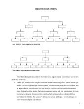 Organizacijos hierarchijos analizė: baldų ir lengvosios pramonės gamyba AB "SBA" 5 puslapis