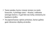 Tamsioji kamera (Camera obscura) 2 puslapis