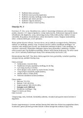 Pagrindinės pagyvenusiųjų ir vyresnio amžiaus žmonių dietos koregavimas 7 puslapis