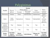 Paklausos duomenų rinkimo būdai, esmė ir palyginimas 12 puslapis