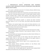 Pardavimų organizavimas 2 puslapis