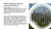 Rūgščiojo lietaus poveikis gamtai 3 puslapis