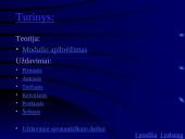 Nelygybių su moduliu sprendimas 2 puslapis