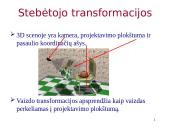 Direct3D transformacijos 18 puslapis