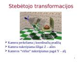 Direct3D transformacijos 19 puslapis